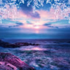 Meet your Posher, Isabella